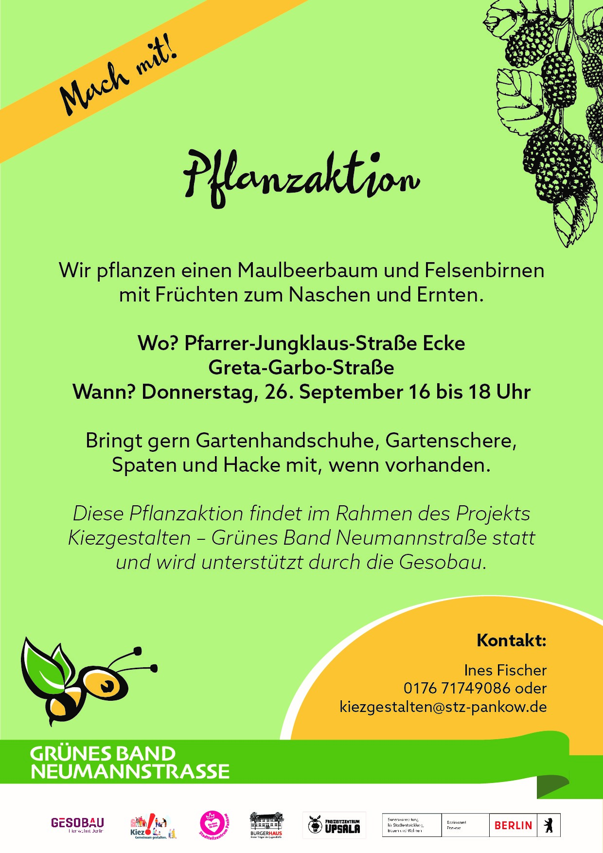 Pflanzaktion